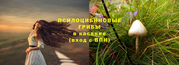 дурь Алексин